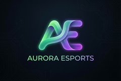 国产自拍合作品牌极光电竞